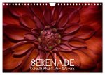 Serenade - Visuelle Musik der Blumen (Wandkalender 2026 DIN A4 quer), CALVENDO Monatskalender