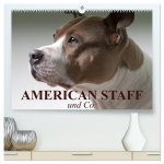 American Staff und Co. (hochwertiger Premium Wandkalender 2026 DIN A2 quer), Kunstdruck in Hochglanz