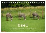 Esel - liebenswerte Langohren (Tischkalender 2026 DIN A5 quer), CALVENDO Monatskalender