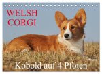 Welsh Corgi - Kobold auf 4 Pfoten (Tischkalender 2026 DIN A5 quer), CALVENDO Monatskalender