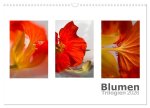 Blumen Trilogien (Wandkalender 2026 DIN A3 quer), CALVENDO Monatskalender