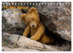 Teddy Basse, Fortsetzung... (Tischkalender 2026 DIN A5 quer), CALVENDO Monatskalender