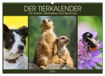 Der Tierkalender mit Zitaten, Weisheiten und Sprüchen (Wandkalender 2026 DIN A2 quer), CALVENDO Monatskalender