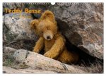 Teddy Basse, Fortsetzung... (Wandkalender 2026 DIN A3 quer), CALVENDO Monatskalender
