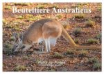 Beuteltiere Australiens (Wandkalender 2026 DIN A2 quer), CALVENDO Monatskalender