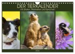 Der Tierkalender mit Zitaten, Weisheiten und Sprüchen (Wandkalender 2026 DIN A4 quer), CALVENDO Monatskalender
