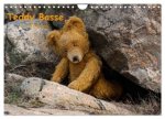 Teddy Basse, Fortsetzung... (Wandkalender 2026 DIN A4 quer), CALVENDO Monatskalender
