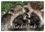 Marderhunde (Wandkalender 2026 DIN A3 quer), CALVENDO Monatskalender