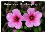 Madeiras Blütenpracht (Wandkalender 2026 DIN A3 quer), CALVENDO Monatskalender