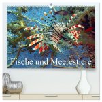 Fische und Meerestiere (hochwertiger Premium Wandkalender 2026 DIN A2 quer), Kunstdruck in Hochglanz