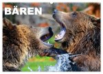 Bären (Wandkalender 2026 DIN A2 quer), CALVENDO Monatskalender