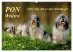 PON - Welpen, jeder Tag ein großes Abenteuer (Wandkalender 2026 DIN A2 quer), CALVENDO Monatskalender