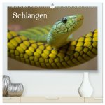 Schlangen (hochwertiger Premium Wandkalender 2026 DIN A2 quer), Kunstdruck in Hochglanz