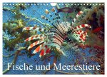Fische und Meerestiere (Wandkalender 2026 DIN A4 quer), CALVENDO Monatskalender