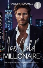Ice Cold Millionaire | Eine spicy Opposites attract Millionaire Romance