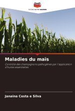 Maladies du ma?s