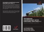 Zarz?dzanie nawadnianiem upraw kukurydzy (Zea mays L.)