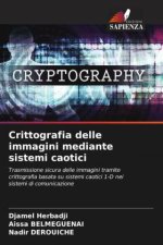 Crittografia delle immagini mediante sistemi caotici
