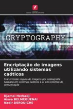 Encriptaç?o de imagens utilizando sistemas caóticos