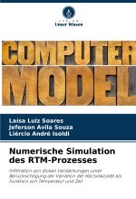 Numerische Simulation des RTM-Prozesses