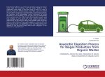 Anaerobic Digestion Process for Biogas Production from Organic Wastes