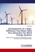 Development of a High-Efficiency Two-Rotor Axial Flux Generator for Wind Energy Systems