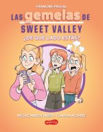 Las gemelas de Sweet Valley: ?De qué lado estás? (Libro 3)