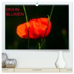 Mohnblumen (hochwertiger Premium Wandkalender 2026 DIN A2 quer), Kunstdruck in Hochglanz
