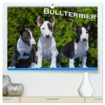 Bullterrier (hochwertiger Premium Wandkalender 2026 DIN A2 quer), Kunstdruck in Hochglanz