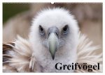 Greifvögel (Wandkalender 2026 DIN A2 quer), CALVENDO Monatskalender