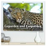 Die Lautlosen. Geparden und Leoparden (hochwertiger Premium Wandkalender 2026 DIN A2 quer), Kunstdruck in Hochglanz