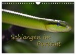 Schlangen im Portrait (Wandkalender 2026 DIN A4 quer), CALVENDO Monatskalender