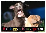 Bulldoggen-Kindergarten (Wandkalender 2026 DIN A4 quer), CALVENDO Monatskalender