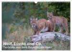 Wolf, Luchs und Co. - Tierbilder aus dem Bayerischen Wald (Wandkalender 2026 DIN A3 quer), CALVENDO Monatskalender