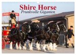 Shire Horse - Prunkvolle Giganten (Wandkalender 2026 DIN A3 quer), CALVENDO Monatskalender