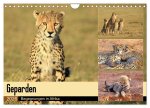 Geparden - Begegnungen in Afrika (Wandkalender 2026 DIN A4 quer), CALVENDO Monatskalender