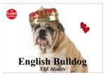 English Bulldog XXL Models (Wandkalender 2026 DIN A3 quer), CALVENDO Monatskalender