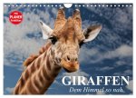 Giraffen. Dem Himmel so nah (Wandkalender 2026 DIN A4 quer), CALVENDO Monatskalender