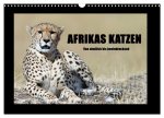 Afrikas Katzen (Wandkalender 2026 DIN A3 quer), CALVENDO Monatskalender