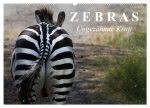 Zebras - Ungezähmte Kraft (Wandkalender 2026 DIN A2 quer), CALVENDO Monatskalender