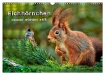 Eichhörnchen - immer wieder süß (Wandkalender 2026 DIN A3 quer), CALVENDO Monatskalender
