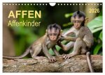 Affen - Affenkinder (Wandkalender 2026 DIN A4 quer), CALVENDO Monatskalender