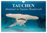 Tauchen - Abenteuer in Neptuns Wunderwelt (Wandkalender 2026 DIN A4 quer), CALVENDO Monatskalender