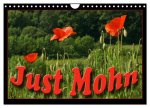 Just Mohn (Wandkalender 2026 DIN A4 quer), CALVENDO Monatskalender