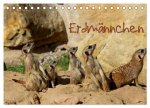Erdmännchen (Tischkalender 2026 DIN A5 quer), CALVENDO Monatskalender