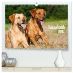 Rassehunde (hochwertiger Premium Wandkalender 2026 DIN A2 quer), Kunstdruck in Hochglanz