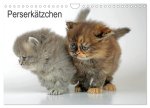 Perserkätzchen / CH-Version (Wandkalender 2026 DIN A4 quer), CALVENDO Monatskalender