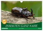INSEKTEN GANZ NAHE (Wandkalender 2026 DIN A4 quer), CALVENDO Monatskalender