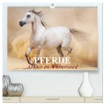 Pferde - Araber im Wüstensand (hochwertiger Premium Wandkalender 2026 DIN A2 quer), Kunstdruck in Hochglanz