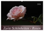 Zarte Schönheiten - Rosen (Wandkalender 2026 DIN A2 quer), CALVENDO Monatskalender